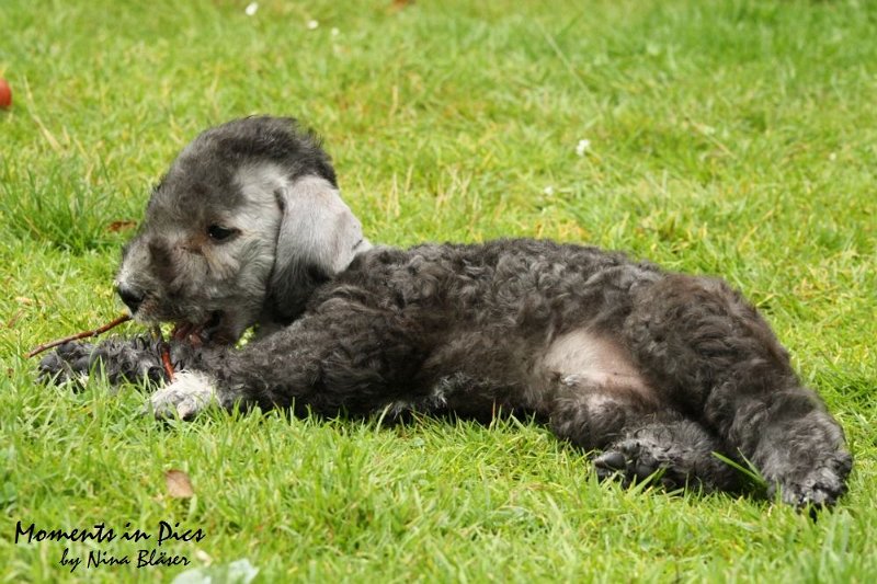 Antares 2009-07-12 (37).JPG